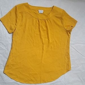 Short Sleeve Dressy Top